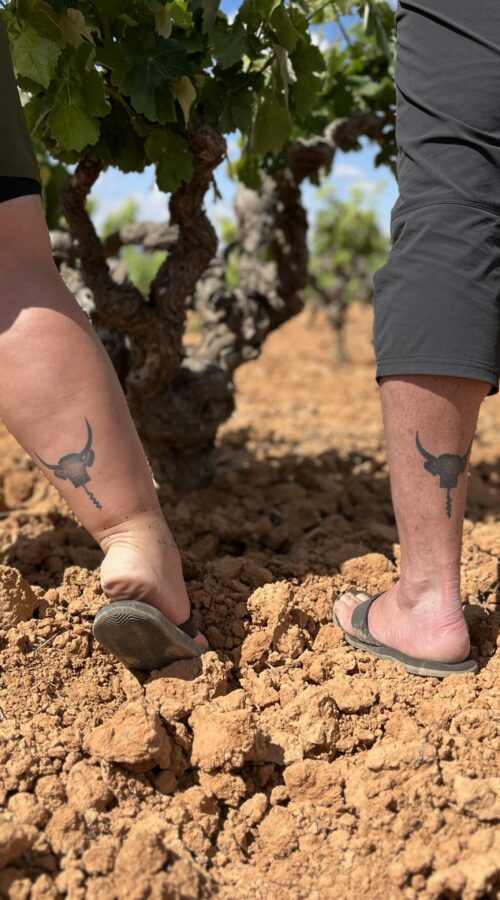 Les magnifiques tatouages de nos gagnants